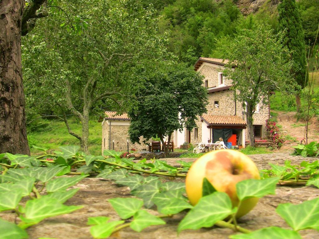 Agriturismo di là dall'Acqua Fivizzano Extérieur photo